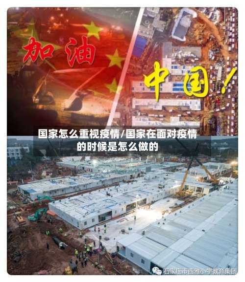 国家怎么重视疫情/国家在面对疫情的时候是怎么做的