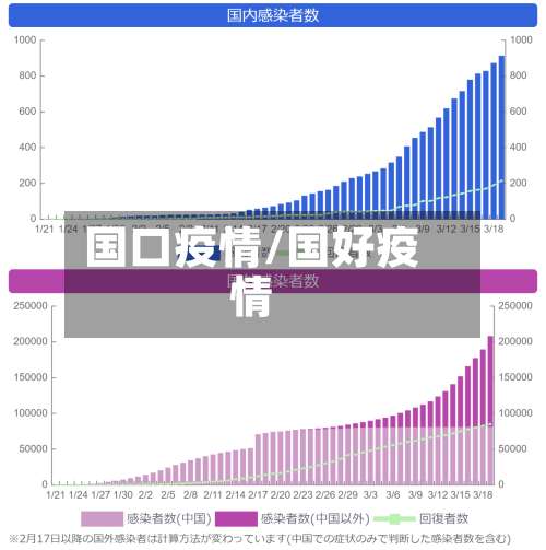 国口疫情/国好疫情-第2张图片
