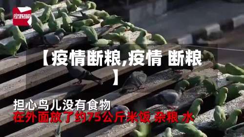 【疫情断粮,疫情 断粮】