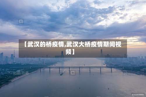 【武汉的桥疫情,武汉大桥疫情期间视频】