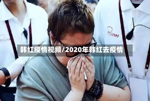 韩红疫情视频/2020年韩红去疫情-第2张图片
