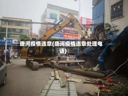 唐河疫情违章(唐河疫情违章处理电话)-第2张图片