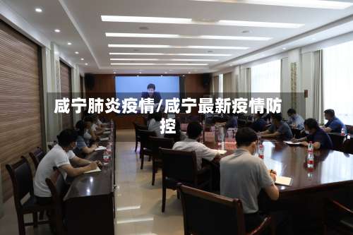 咸宁肺炎疫情/咸宁最新疫情防控