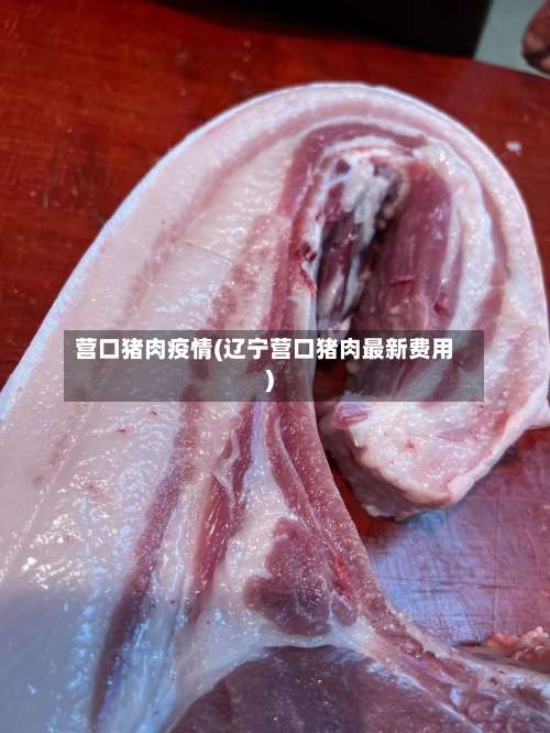 营口猪肉疫情(辽宁营口猪肉最新费用)-第2张图片