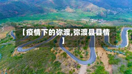 【疫情下的弥渡,弥渡县县情】-第2张图片