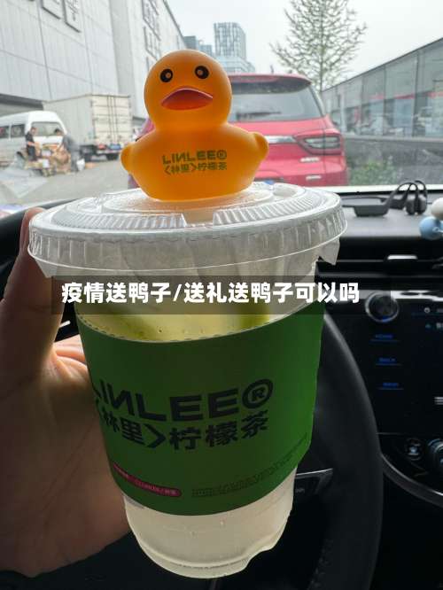 疫情送鸭子/送礼送鸭子可以吗