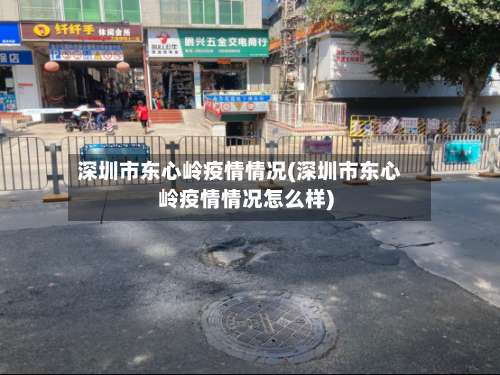 深圳市东心岭疫情情况(深圳市东心岭疫情情况怎么样)-第2张图片
