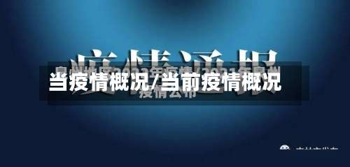 当疫情概况/当前疫情概况