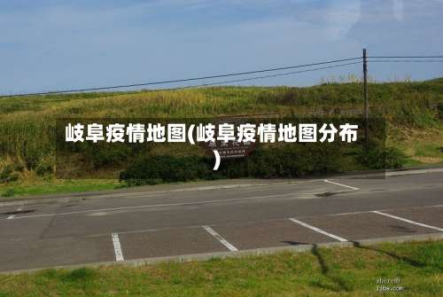 岐阜疫情地图(岐阜疫情地图分布)-第2张图片