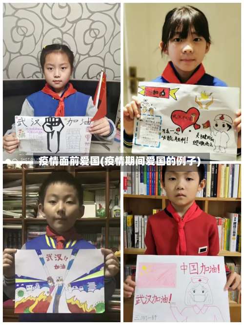 疫情面前爱国(疫情期间爱国的例子)-第2张图片
