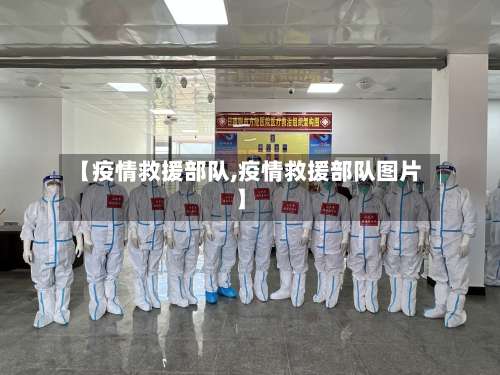 【疫情救援部队,疫情救援部队图片】-第2张图片