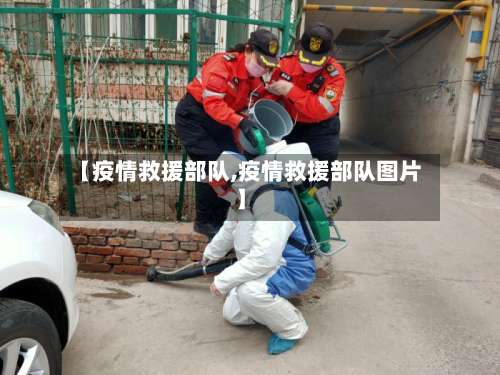 【疫情救援部队,疫情救援部队图片】-第3张图片