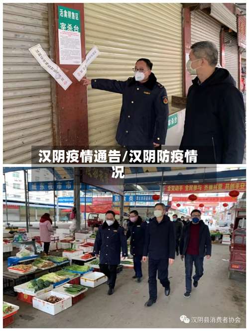 汉阴疫情通告/汉阴防疫情况-第2张图片
