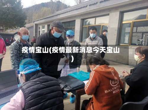 疫情宝山(疫情最新消息今天宝山)-第2张图片