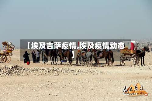 【埃及吉萨疫情,埃及疫情动态】