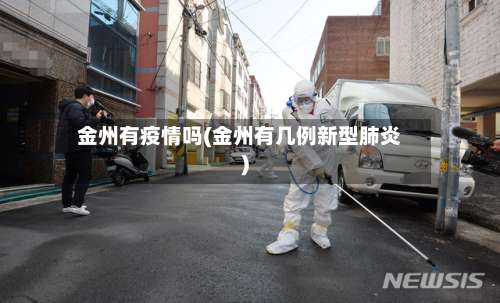 金州有疫情吗(金州有几例新型肺炎)