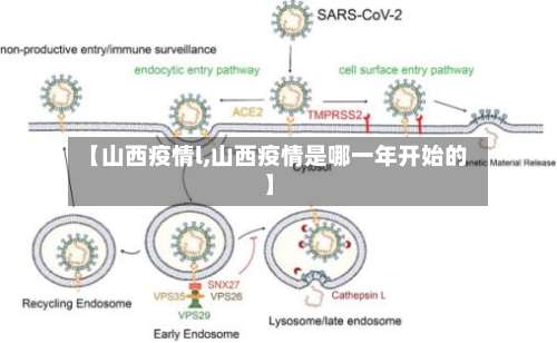 【山西疫情l,山西疫情是哪一年开始的】