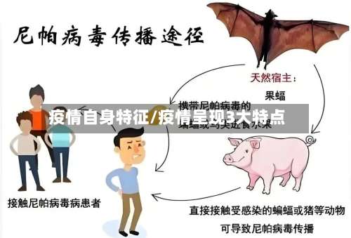 疫情自身特征/疫情呈现3大特点