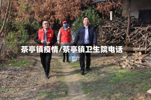 茶亭镇疫情/茶亭镇卫生院电话-第3张图片