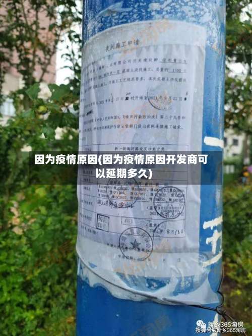 因为疫情原因(因为疫情原因开发商可以延期多久)-第2张图片