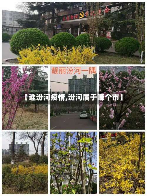 【谁汾河疫情,汾河属于哪个市】
