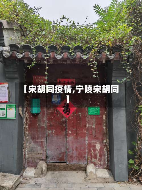 【宋胡同疫情,宁陵宋胡同】
