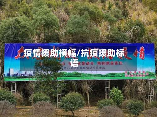 疫情援助横幅/抗疫援助标语-第2张图片