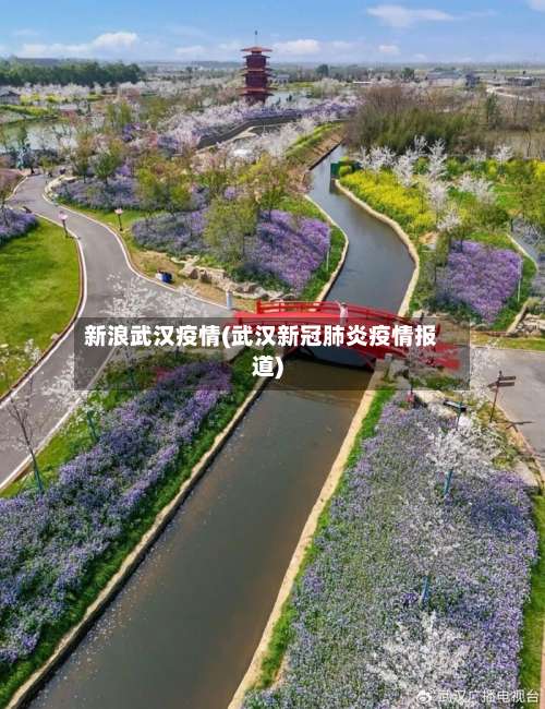 新浪武汉疫情(武汉新冠肺炎疫情报道)-第3张图片