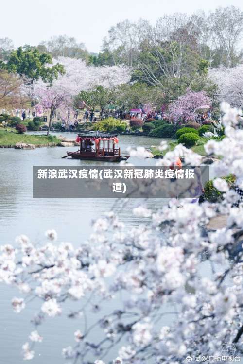 新浪武汉疫情(武汉新冠肺炎疫情报道)