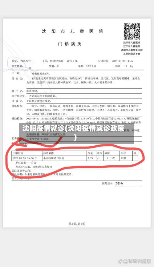 沈阳疫情就诊(沈阳疫情就诊政策)-第3张图片