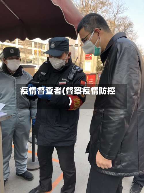 疫情督查者(督察疫情防控)