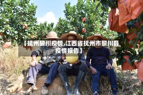 【抚州黎川疫情,江西省抚州市黎川县疫情报告】