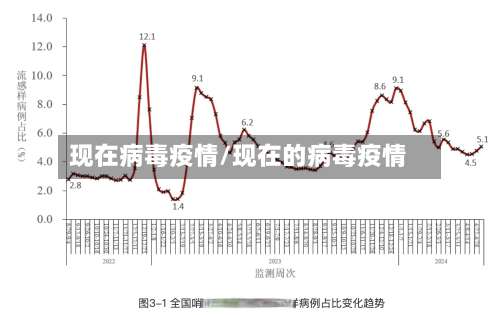 现在病毒疫情/现在的病毒疫情