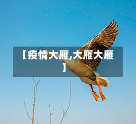 【疫情大雁,大雁大雁】-第2张图片
