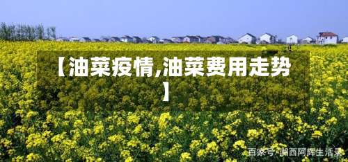 【油菜疫情,油菜费用走势】