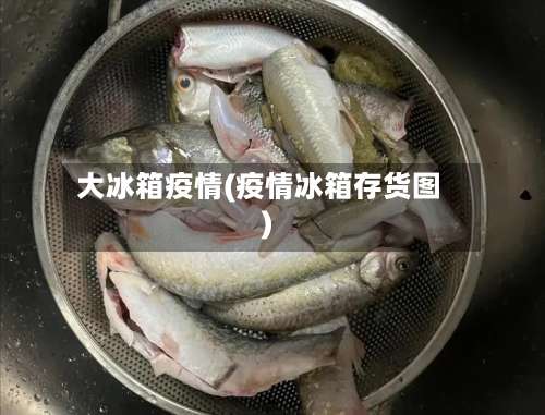 大冰箱疫情(疫情冰箱存货图)