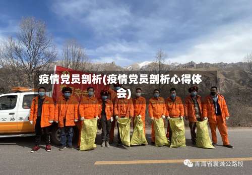 疫情党员剖析(疫情党员剖析心得体会)-第2张图片