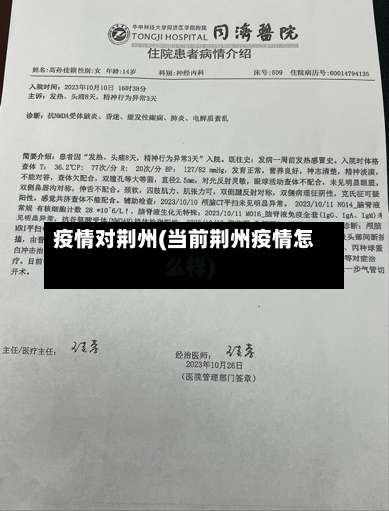 疫情对荆州(当前荆州疫情怎么样)-第2张图片