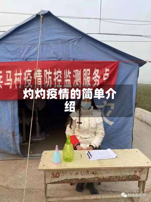 灼灼疫情的简单介绍-第3张图片