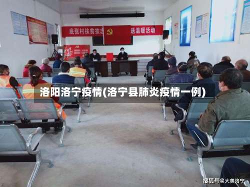 洛阳洛宁疫情(洛宁县肺炎疫情一例)-第3张图片