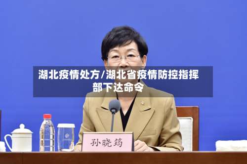 湖北疫情处方/湖北省疫情防控指挥部下达命令