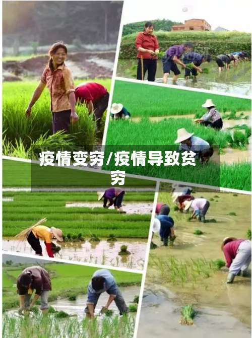 疫情变穷/疫情导致贫穷-第2张图片