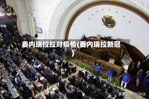 委内瑞拉应对疫情(委内瑞拉新冠)-第2张图片