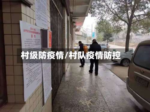 村级防疫情/村队疫情防控-第2张图片