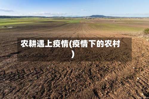 农耕遇上疫情(疫情下的农村)