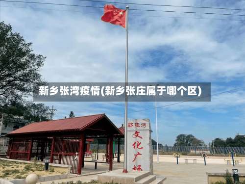 新乡张湾疫情(新乡张庄属于哪个区)