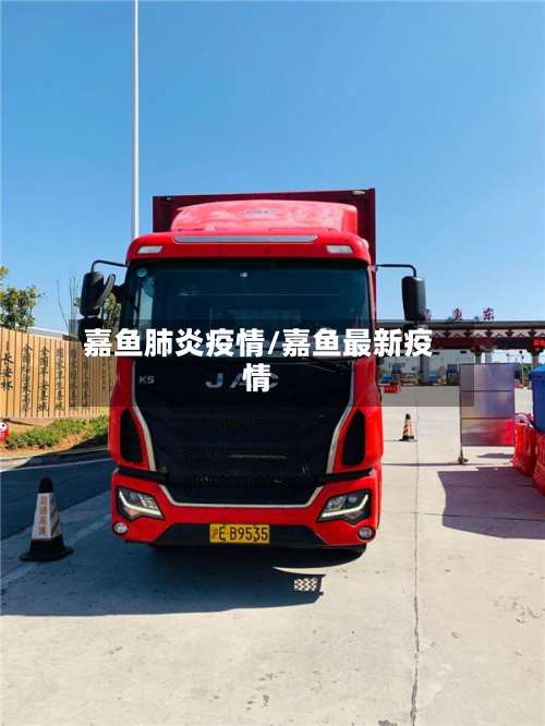 嘉鱼肺炎疫情/嘉鱼最新疫情