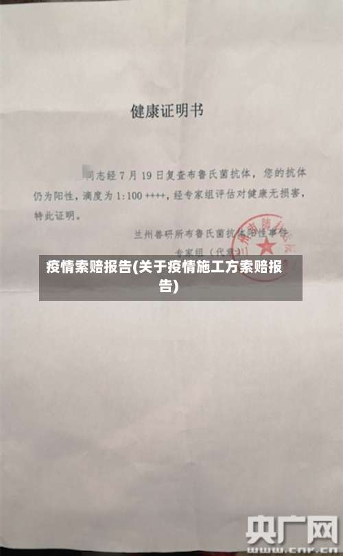 疫情索赔报告(关于疫情施工方索赔报告)-第3张图片