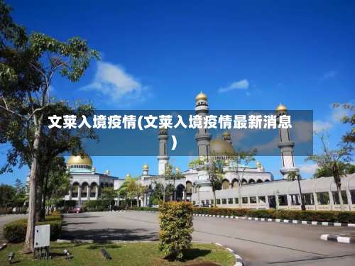 文莱入境疫情(文莱入境疫情最新消息)-第2张图片