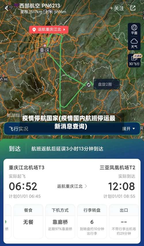 疫情停航国家(疫情国内航班停运最新消息查询)